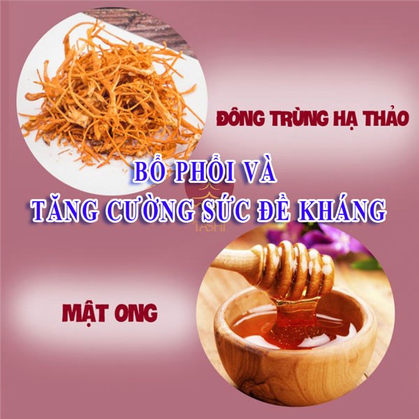 Mật ong đông trùng hạ thảo giúp bảo vệ phổi và tăng cường sức đề kháng