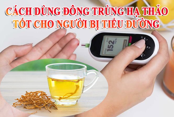 Cách dùng đông trùng hạ thảo cho người tiểu đường