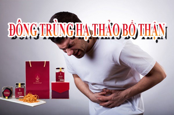 Tác dụng của đông trùng hạ thảo giúp bổ thận