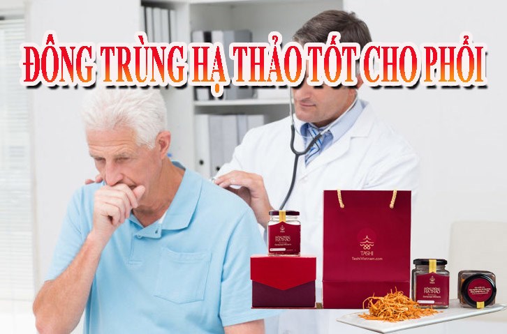 Đông trùng hạ thảo tốt cho các bệnh về phổi như thế nào?