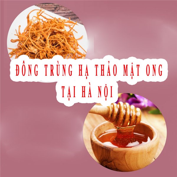 Đông trùng hạ thảo mật ong tại Hà Nội