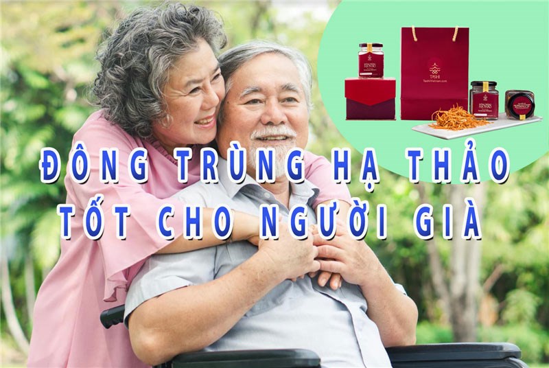 Tác dụng của Đông trùng hạ thảo với người già có thể bạn chưa biết