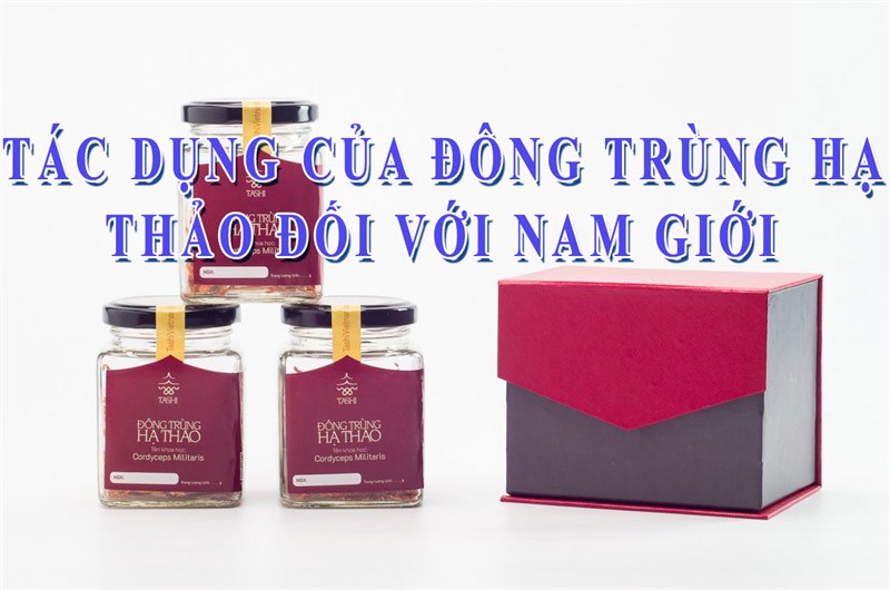 Tác dụng của đông trùng hạ thảo đối với nam giới - Tashi Việt Nam