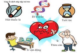 Những nguyên nhân dẫn đến bệnh lý tim mạch
