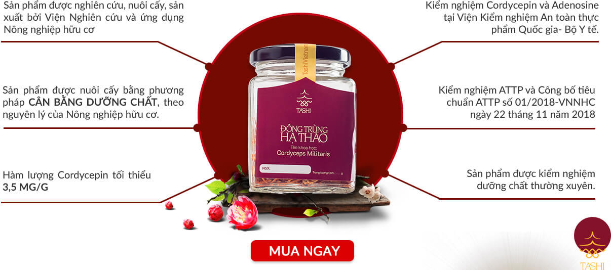 cách bảo quản đông trùng hạ thảo tươi tốt nhất