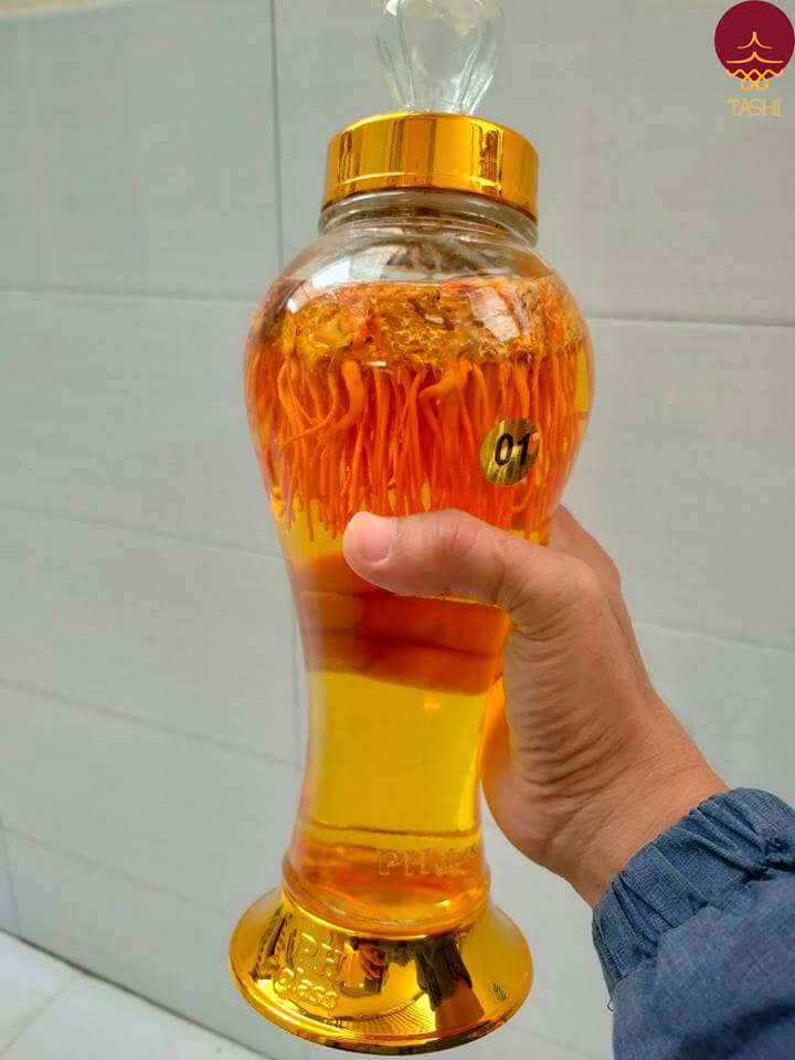 cách bảo quản đông trùng hạ thảo tươi ngâm rượu