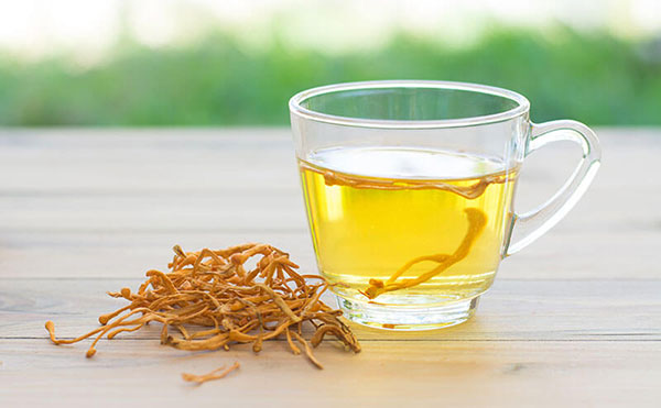 cách sử dụng đông trùng hạ thảo khô pha trà
