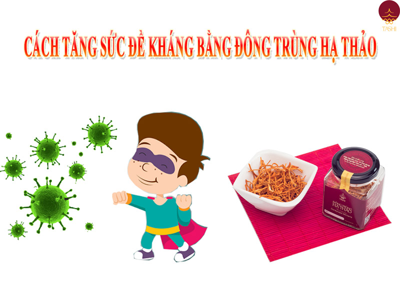 cách tăng cường sức đề kháng bằng đông trùng hạ thảo