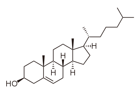 cholesterol là gì