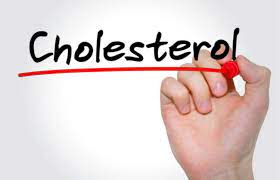 cholesterol được tổng hợp ở đâu