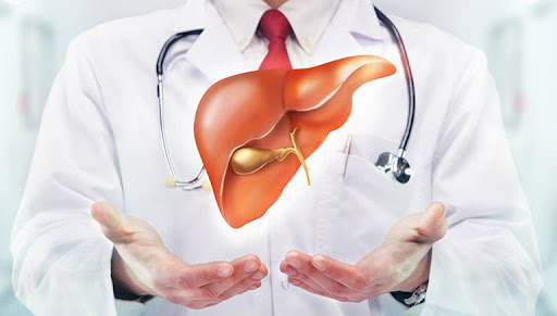 đông trùng hạ thảo đối với nam giới bảo vệ gan