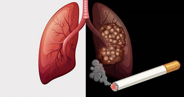 đông trùng hạ thảo bổ phổi