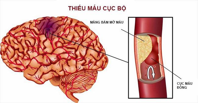 đông trùng hạ thảo chống đông máu