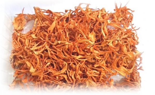 Đông trùng hạ thảo