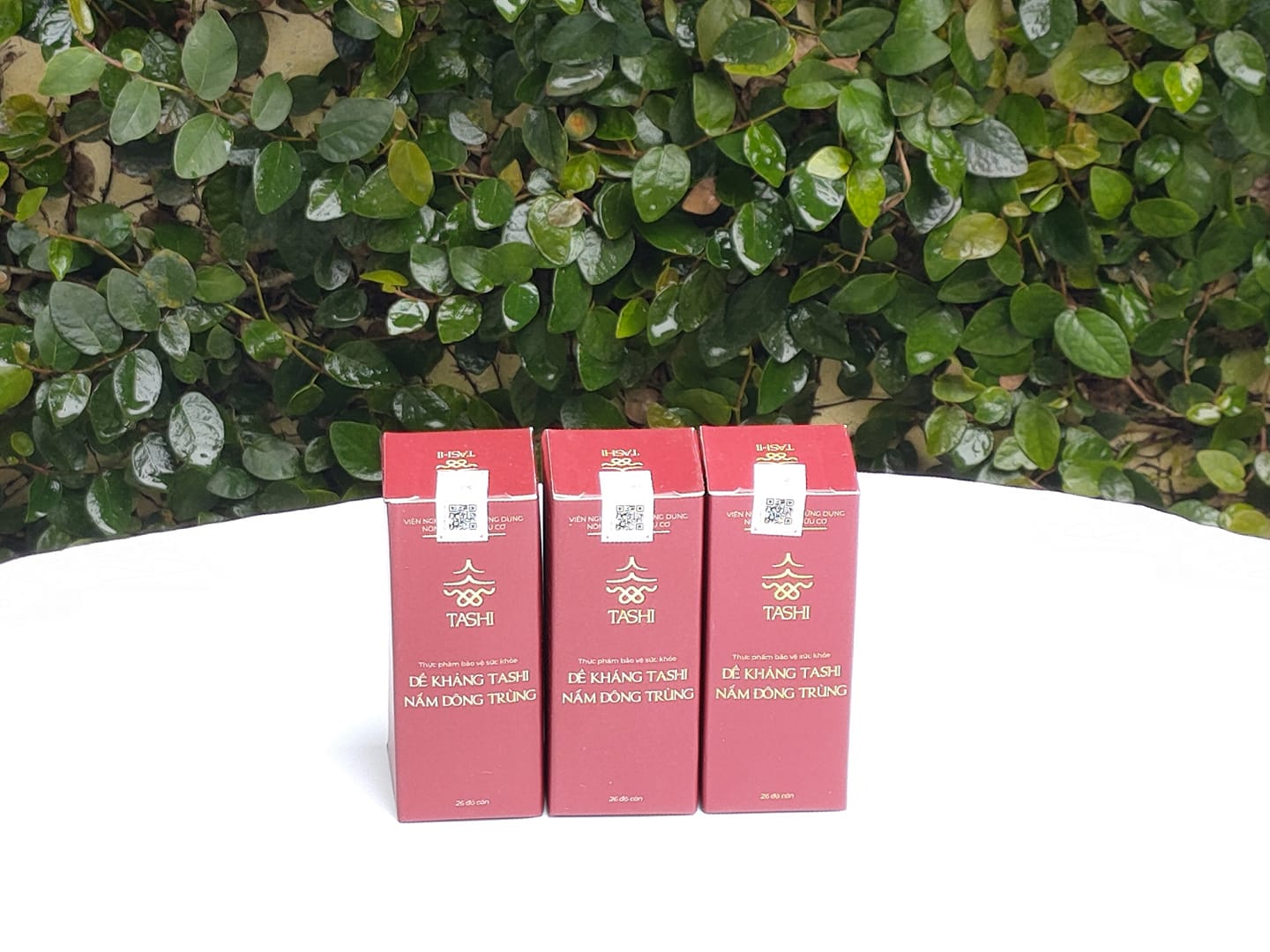 đông trùng hạ thảo tăng cường sức đề kháng
