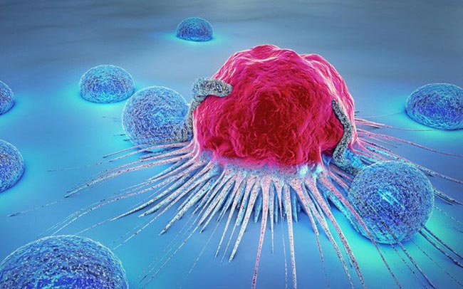 khác nhau giữa tế bào bình thường và tế bào ung thư