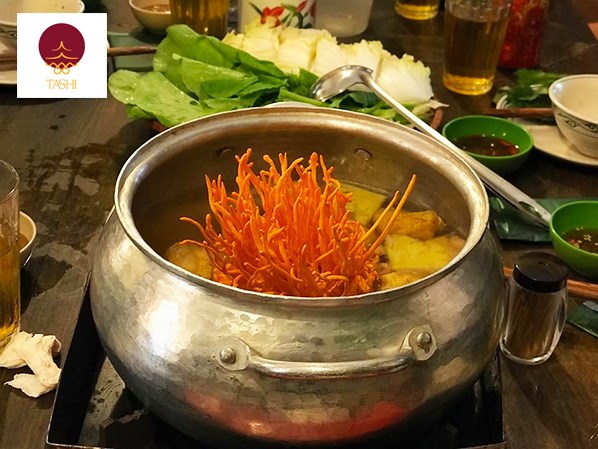 Lẩu đông trùng hạ thảo