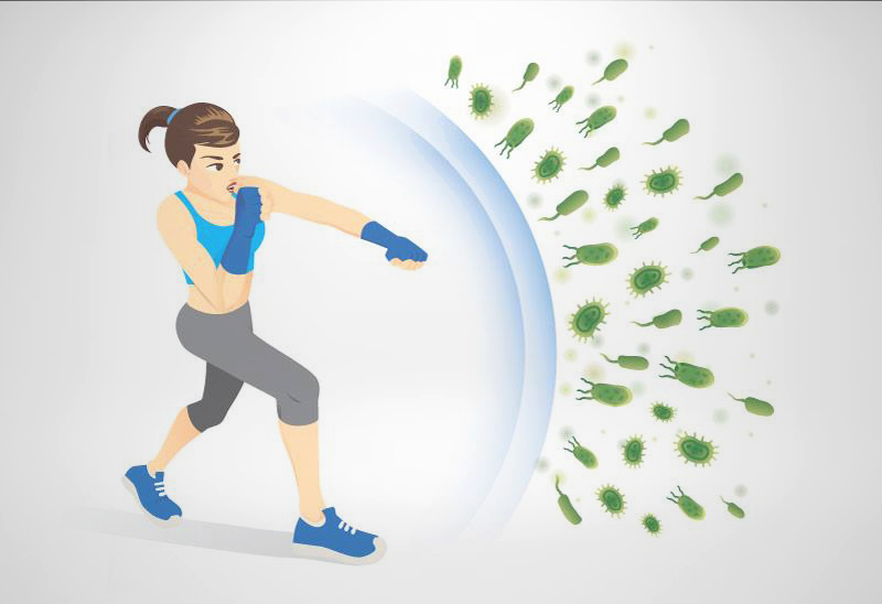 công dụng của đông trùng hạ thảo với nữ giới