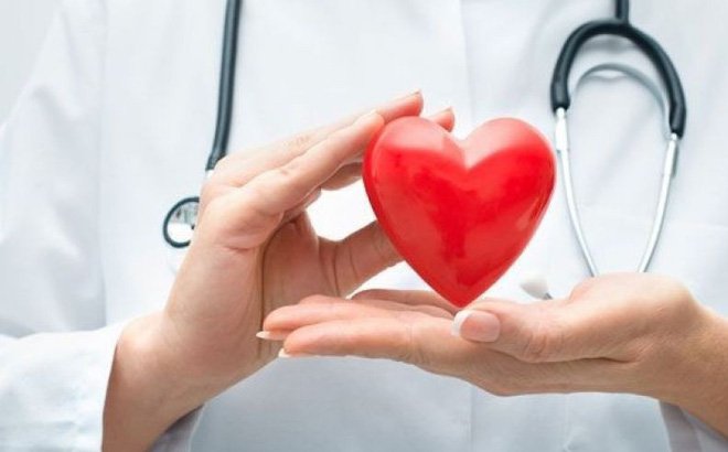 uống đông trùng hạ thảo tốt cho tim mạch