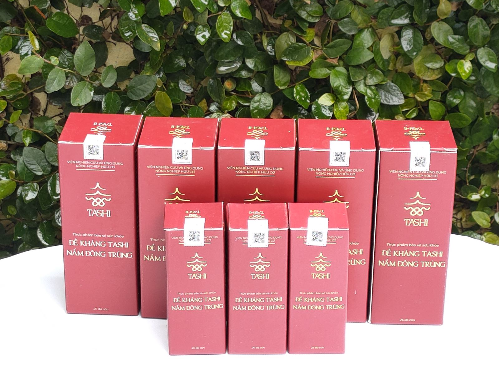 thức uống tăng sức đề kháng tashi