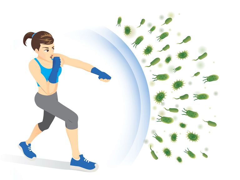 vai trò hệ miễn dịch